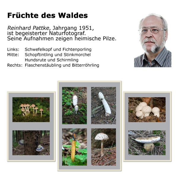 20121112-vorstellung - reinhard pattke.jpg